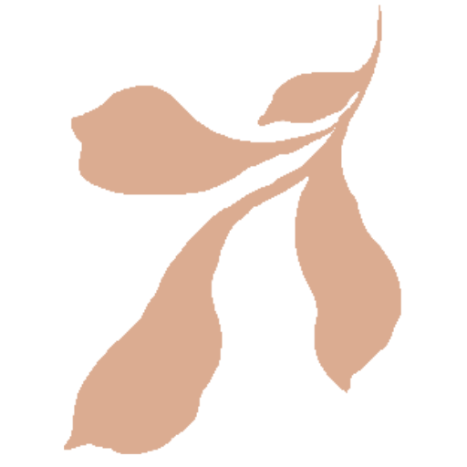 PATTERNISSE logo